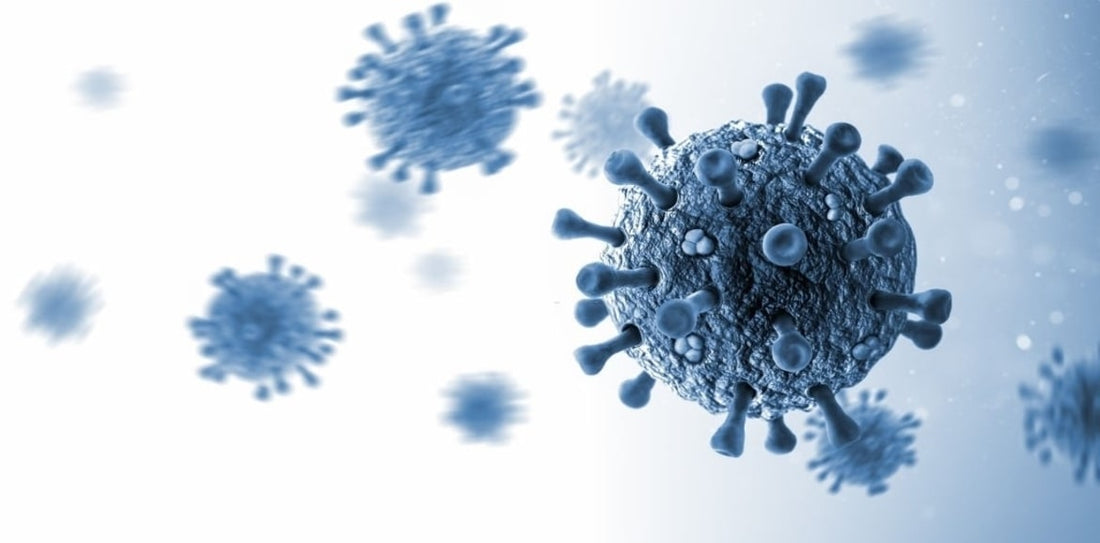 Discover How Air Purifiers Can Help You Eliminate Bacteria & Viruses