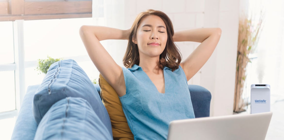 Hydroxyl OH Radical Air Disinfection Purifier - WellisAir