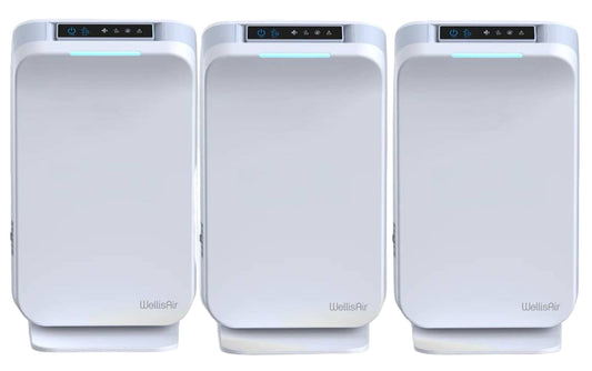 WellisAir Whole Home Revitalization Multi-Unit Bundle