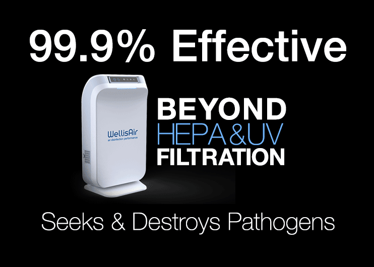 WellisAir Total Home Purification Surface Air Disinfection