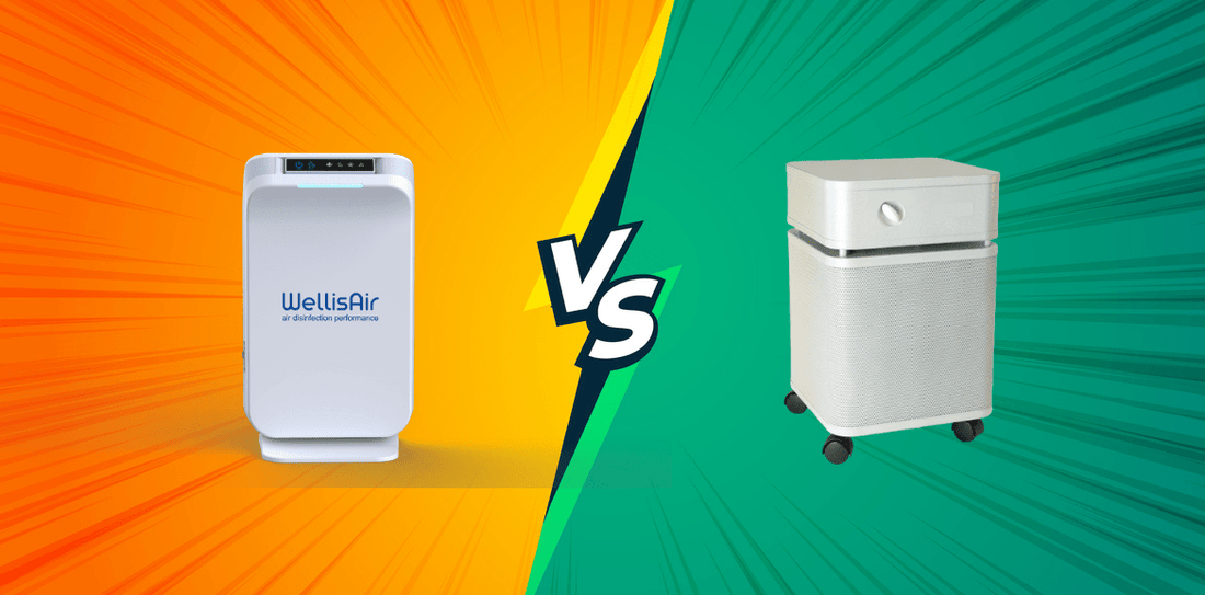 Air purifier vs air sanitizer