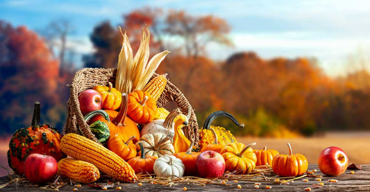 Letter from CEO: Colder Winter