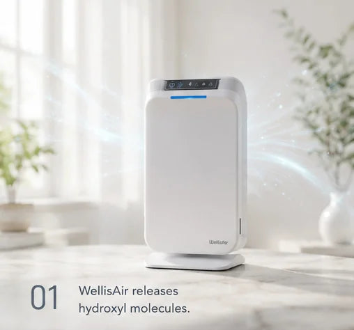WellisAir purifier in a bright room releasing hydroxyl molecules — Step 1